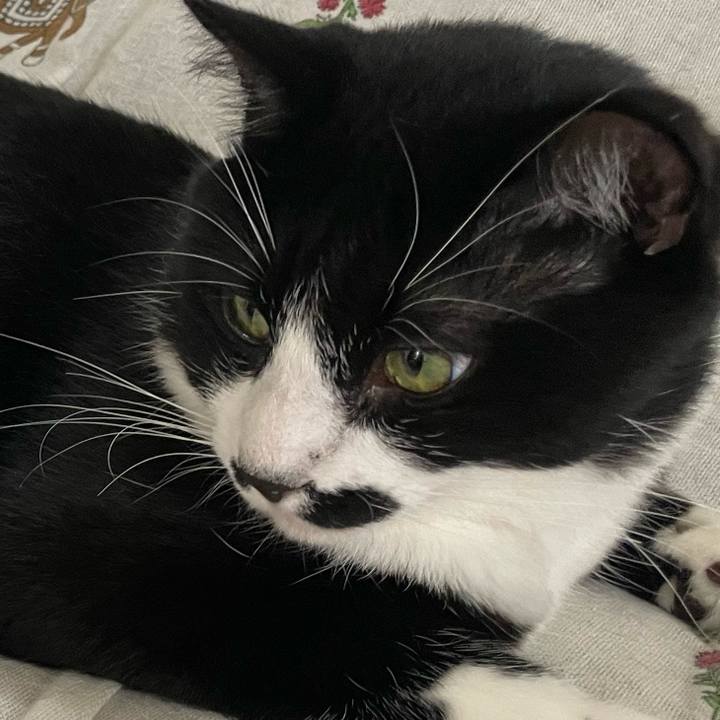 27d02ffa 0bcc 4a39 966f e65583350a91 1662813571815