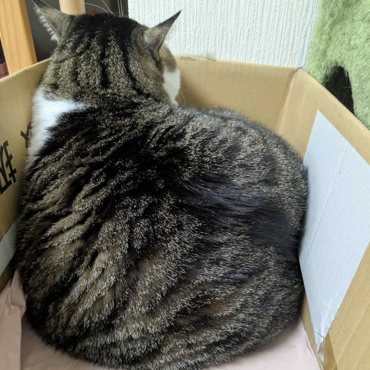 27d03772 ab7b 4165 9de2 ca84b2a69b42 1764848151853