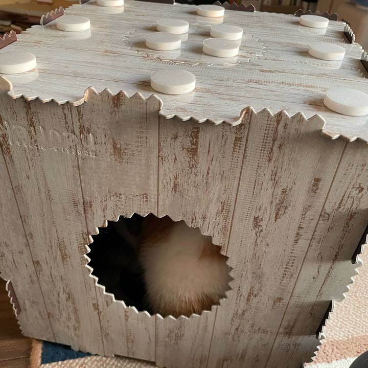 27d044f2 146d 4b3e a304 5c97059662a1 1651482875252