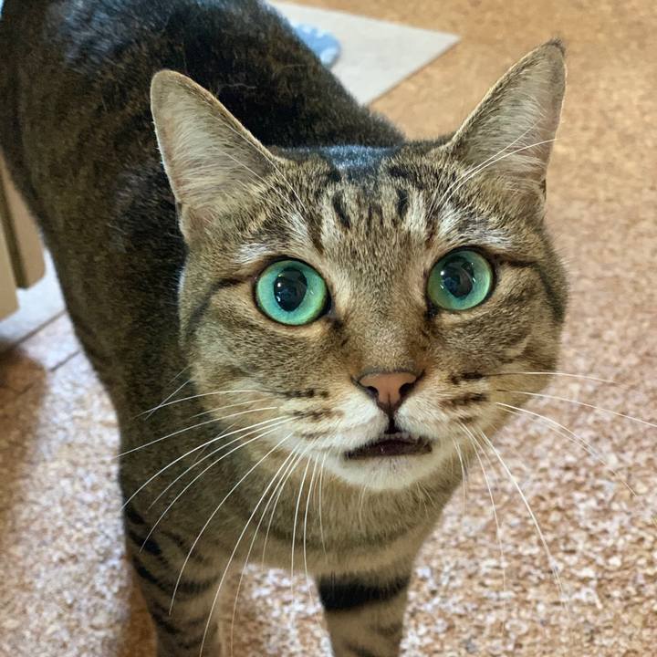 27d051c8 b570 4a95 900c 662337806d79 1561624154780