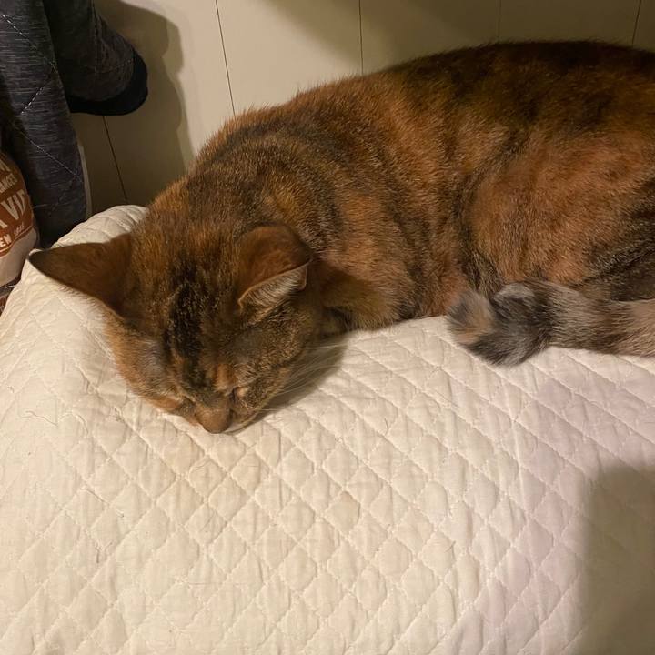 27d05f2e 1335 4efd 90ba b35f4654ca23 1585418278132