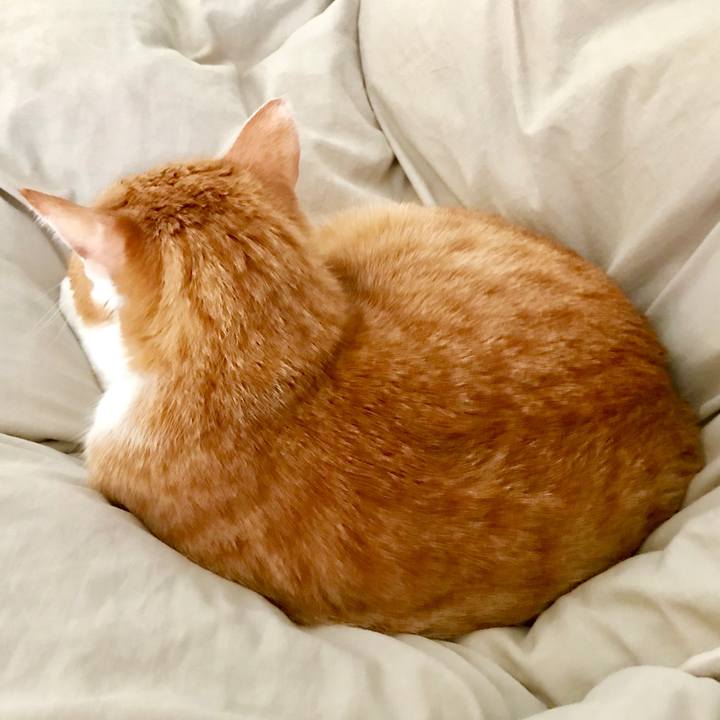 27d0730c 9d97 4768 8fec dfc2d1ceeb24 1555802349883