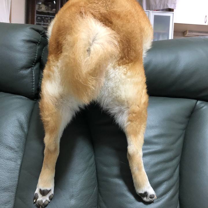 27d086e4 cadd 47fe 97e5 18a849f6b4ea 1568890069273