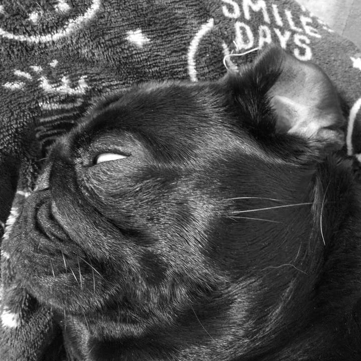 27d09ce7 6f8f 454e 8efc 01d98a2a4def 1556499075138