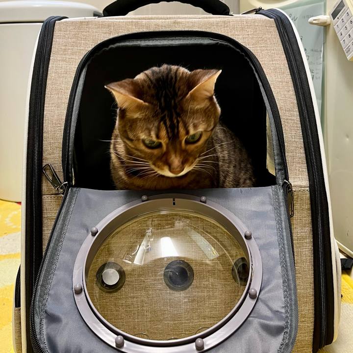 27d0b86f e600 41bf bba6 b1b5d32a9c7f 1680418537123