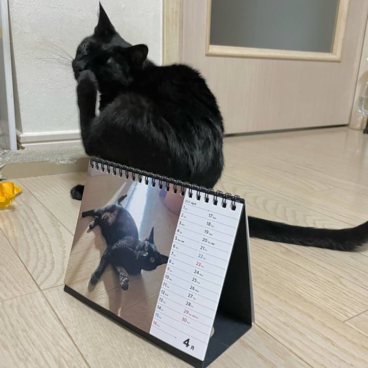 27d0e9d9 5f43 4aae a98e c9e82440c230 1682885910158