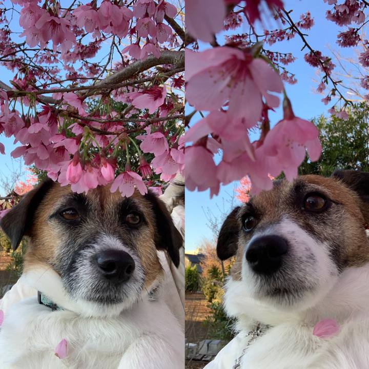 27d0ffae b750 4b8f b563 c7fd97504fab 1616463043521