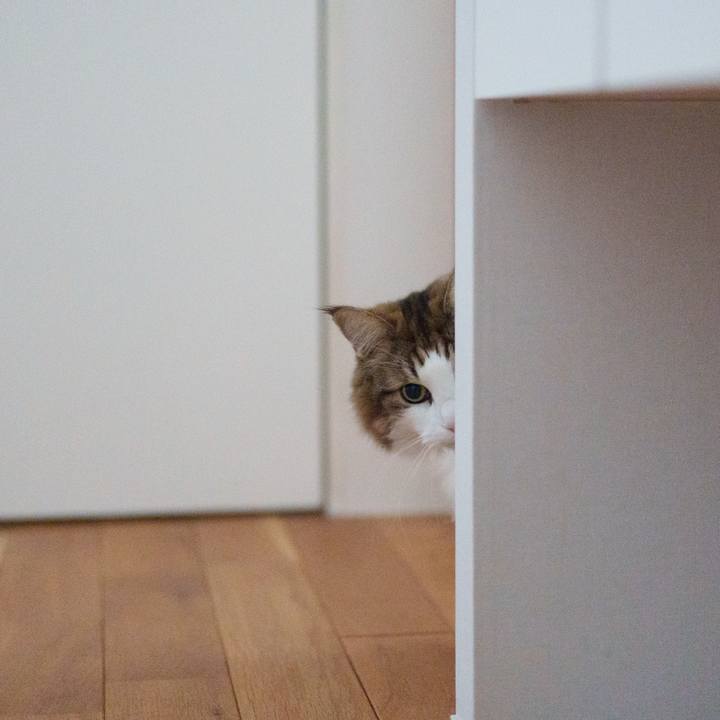 27d1642e 8199 49bd ae3f ab38b9694416 1764820365063