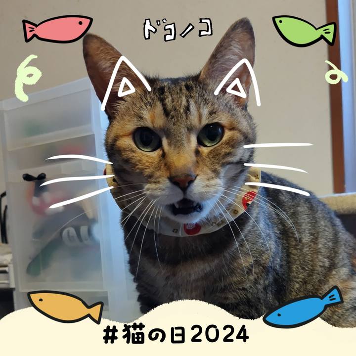 27d17a57 7896 4478 83b5 54689359e970 1708530423835