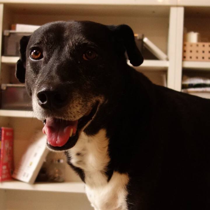 27d21c5b aae4 4bb6 81d3 cf70eaf81b9d 1752279061209