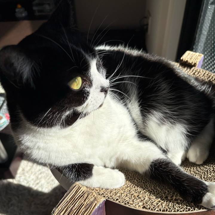 27d224db 453a 4b0a b485 13ab8c4baf2f 1767930049964