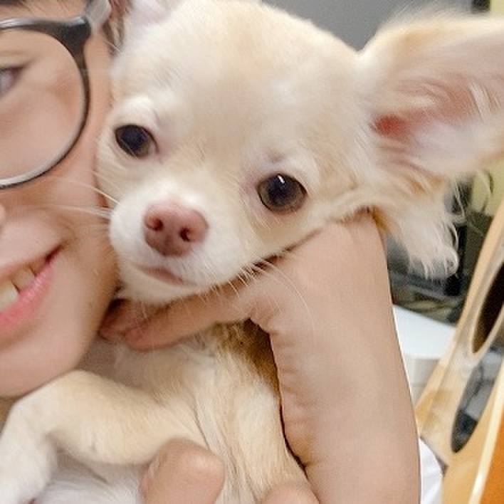 27d2356b 215d 4c8d b9a7 55505cea9f92 1601880938110