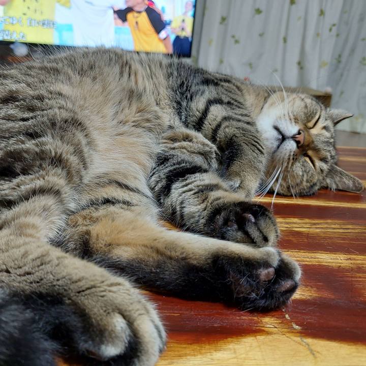 27d25a60 5e40 46e4 bfd3 1e8b2242ed0d 1661687290107