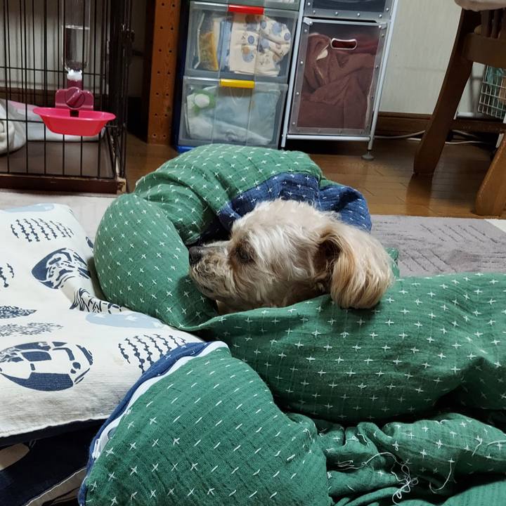 27d2662a 8db5 47a1 a32a 10072e13a55e 1620194673049