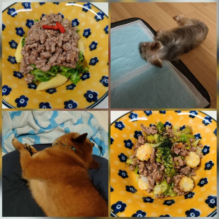 27d2cb25 ecf8 443e aeda 72a2df2f6211 1656144786345