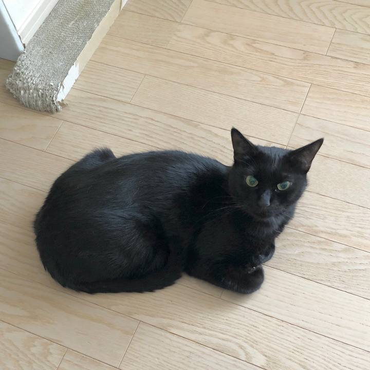 27d2cb2e abb7 4291 9274 b177b218495e 1604202815519