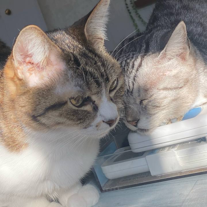 27d2d419 f7b5 470c 99d9 b49cae1de260 1643588000506