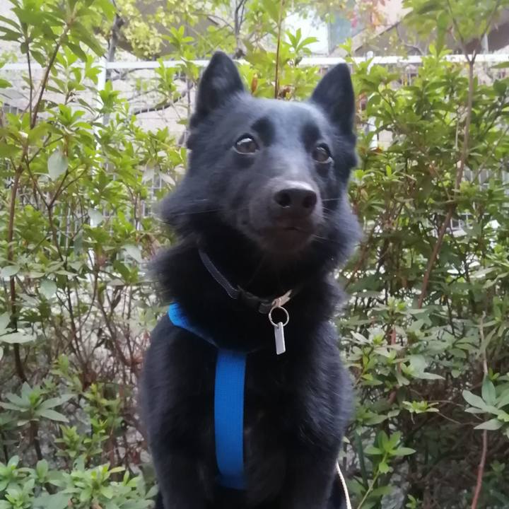 27d2d78a edf9 4806 a0e3 7a00f0907b93 1636184842602