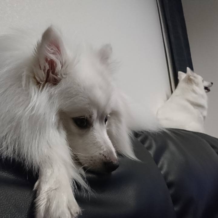 27d2e9b7 936f 40f6 9c5b 6e1146889b78 1590062323225