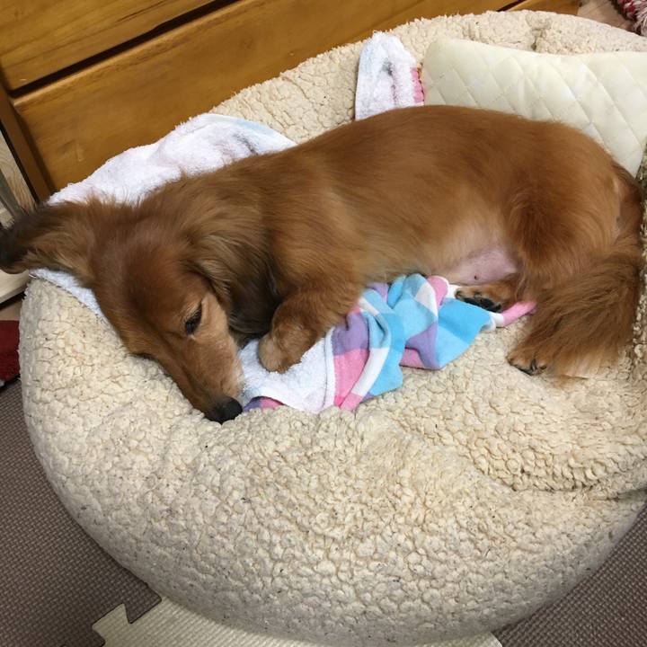 27d31634 783d 4e7b 9139 a1c6c9e9d966 1590500133360