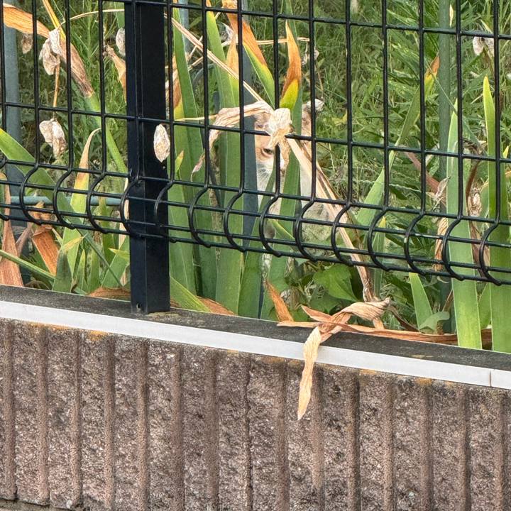 27d3303a 885e 4d78 ac02 bbc8a12255be 1753914815232