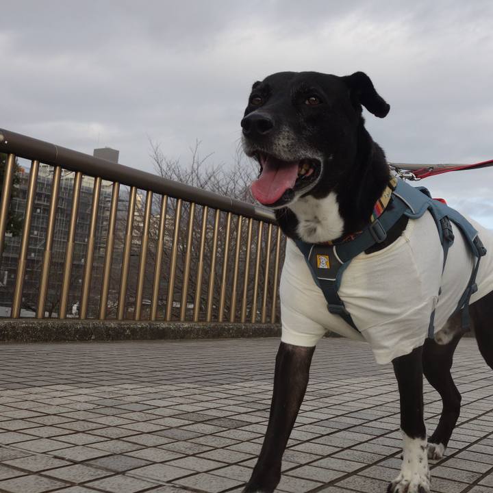 27d333f1 be39 4791 bc24 9ff38f3bf652 1704158744030