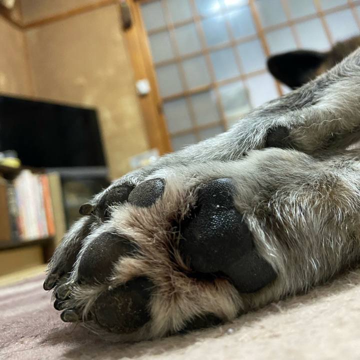 27d34486 03be 4dda 9e91 f5330412268f 1637903850229