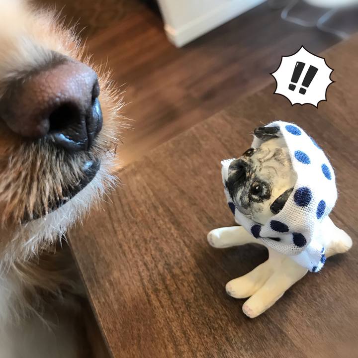 27d35dbc b43a 4310 950c 9b7374c72f59 1552535261442