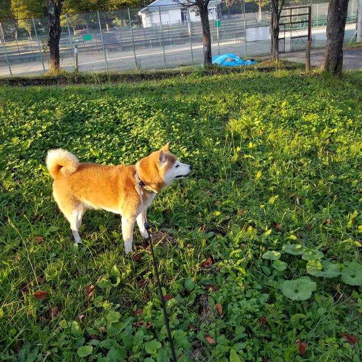 27d39604 05f3 4cd9 91d0 429732976b61 1664609363588