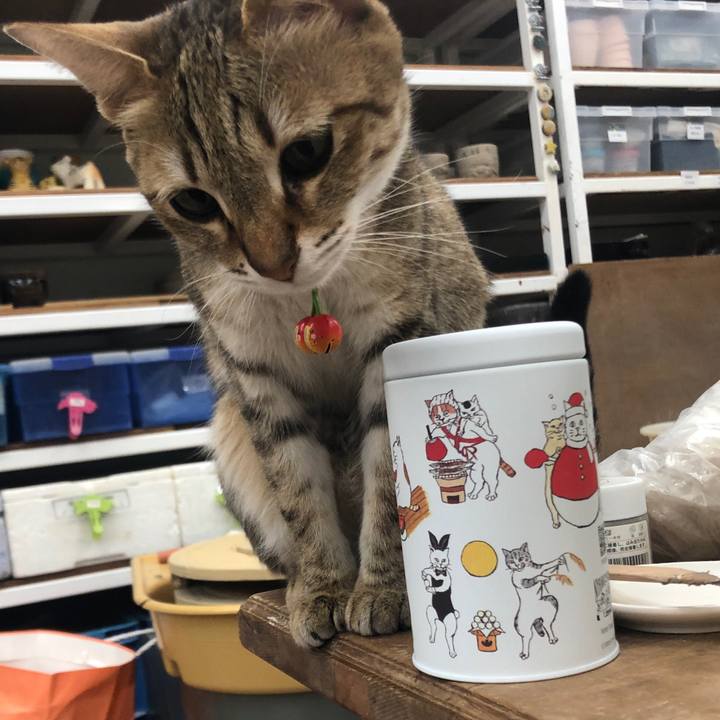 27d3aded fe8e 4c77 9bdc 94d85e15ac88 1647002465005