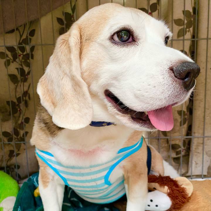 27d3b0c4 342e 4089 ac51 163d55773e47 1627529610660