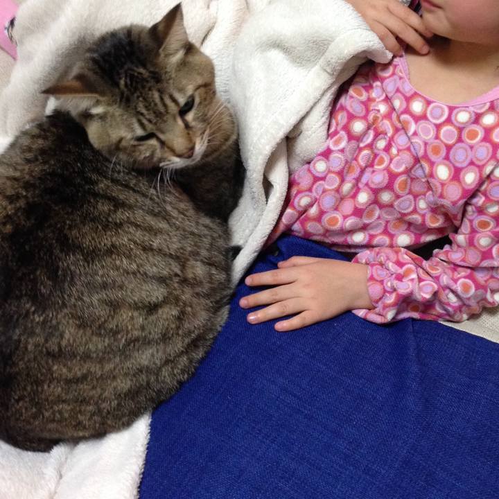 27d3cbe8 abc8 451a 9a09 ec548ba3b8f7 1593302181857