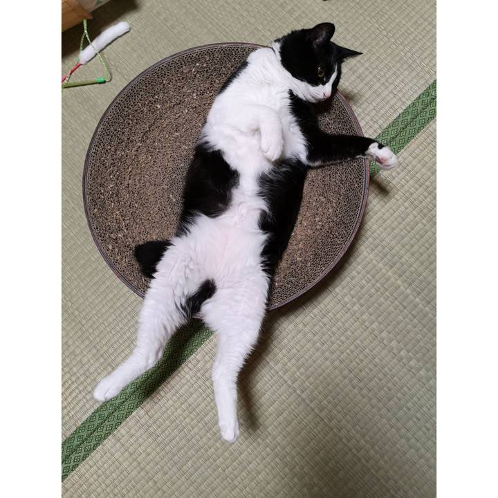 27d3cf6f 15bd 477a 92b6 ccefbfbf33ba 1663735683831