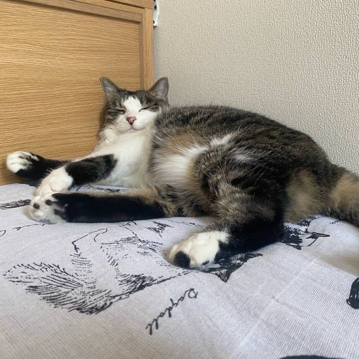 27d3efaa 2e86 4128 b102 077262b46a96 1693205968747