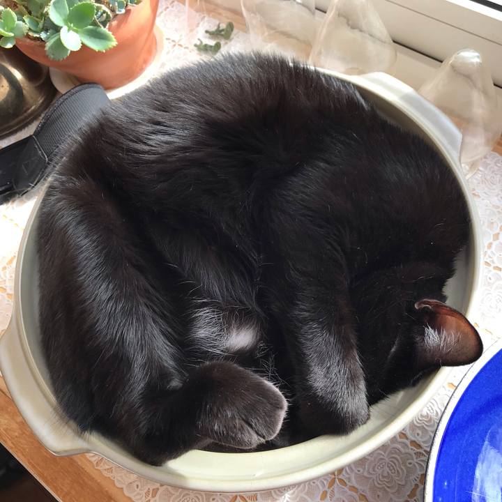 27d3fc25 e586 405c 9623 8f25b4438fb9 1603588828335