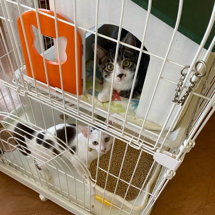 27d410c6 b279 40e6 8ac5 258b2d39a1e5 1693710374277