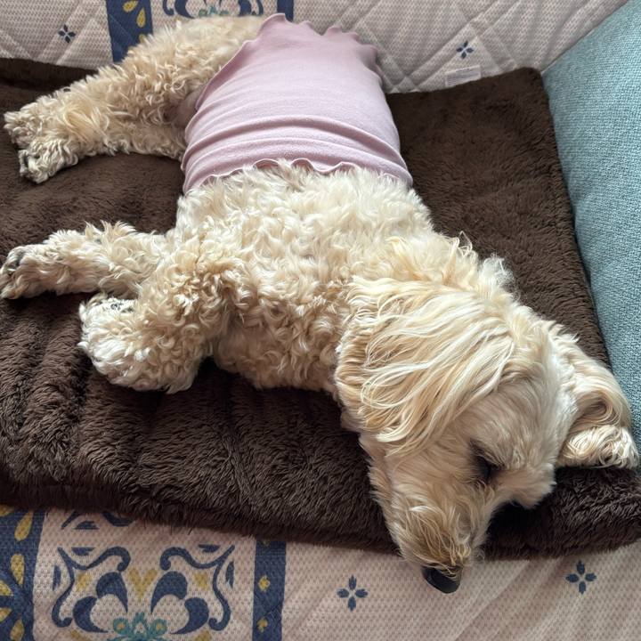 27d428cd a521 411c 985b 7a75f6462d3b 1770778107994