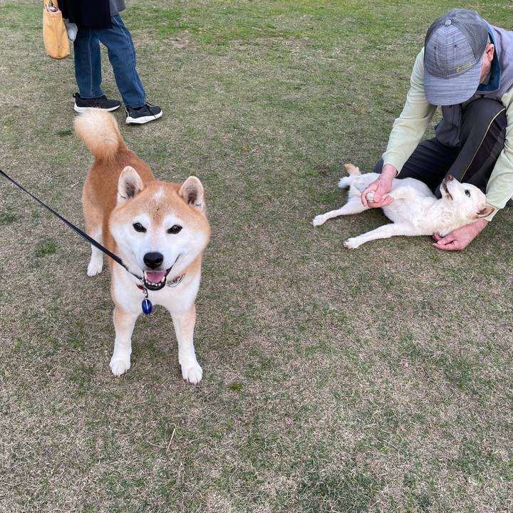 27d46c4f 7241 45f8 b0cf 6b776a57c427 1680434809862