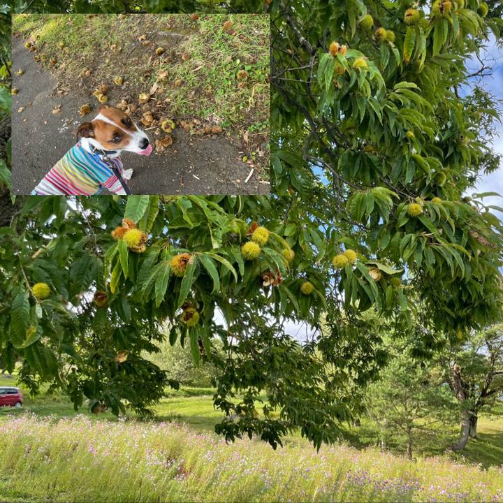 27d4c1b0 37c0 4938 8cb6 84f1939bf5fc 1632894320442