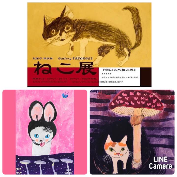 27d4c34b 58b5 455e 90b3 0decbc1b8cc7 1620966251911