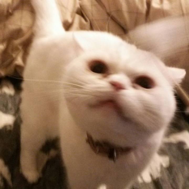 27d4c55d 0c15 45e4 86df 2203824c62dd 1518649845330