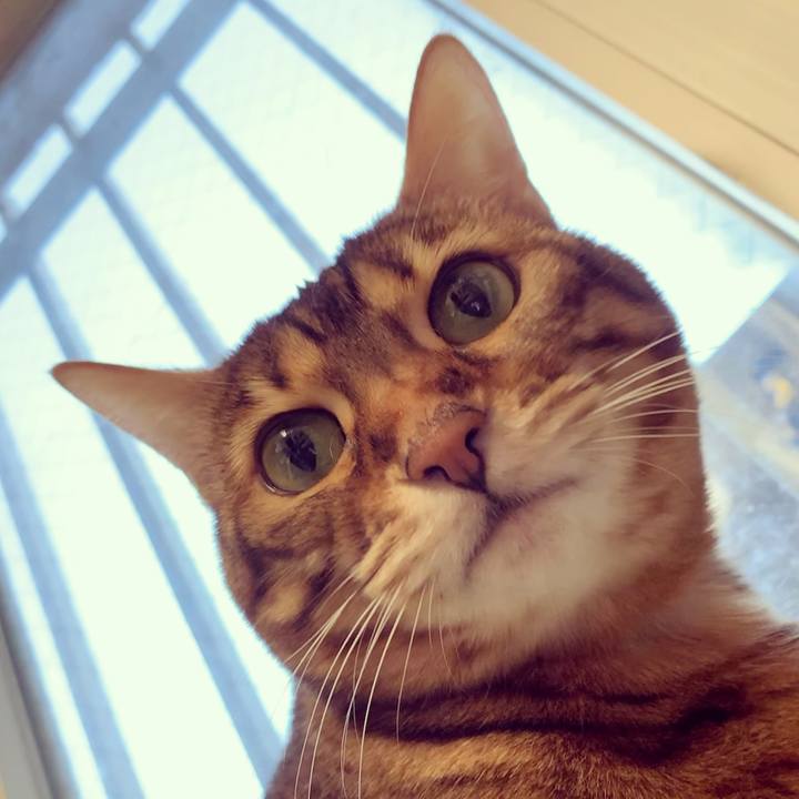 27d5007b afce 4598 826c 32318ac866fd 1617059565643