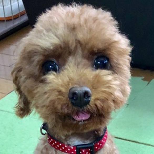 27d530e6 8cba 493e bca9 8babeacba76c 1559990722742