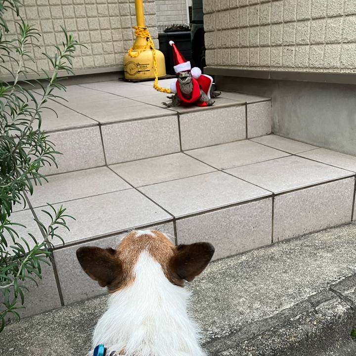 27d54391 fab1 497a abbd 2edf0e301a0b 1670028043890