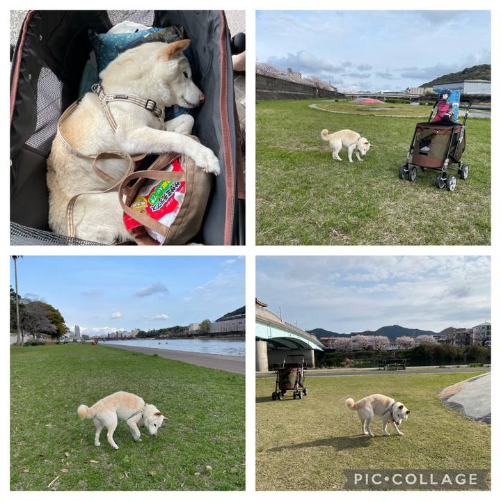 27d56477 d6a1 46c5 8801 44f0501bc80d 1648625957772