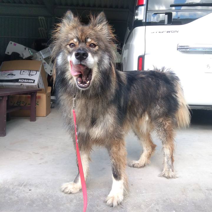 27d574c4 52c0 4b6e a8b6 779f09405f8e 1634372302334