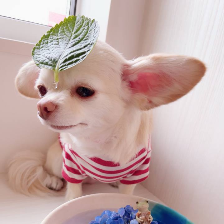 27d5eaec 5387 4a28 b676 81164525629f 1686210066108