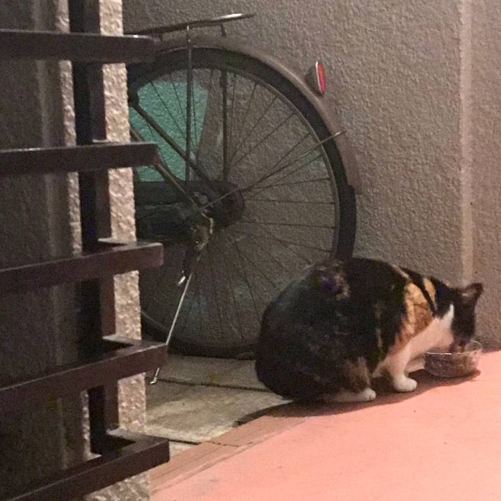 27d5f7b2 f5e7 4114 bd6b 0c5c6788933d 1576288987554