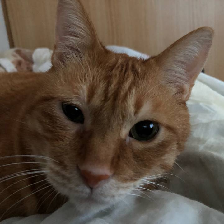 27d605ef 0ad3 409e bfd3 1e682ac120dc 1644788771246