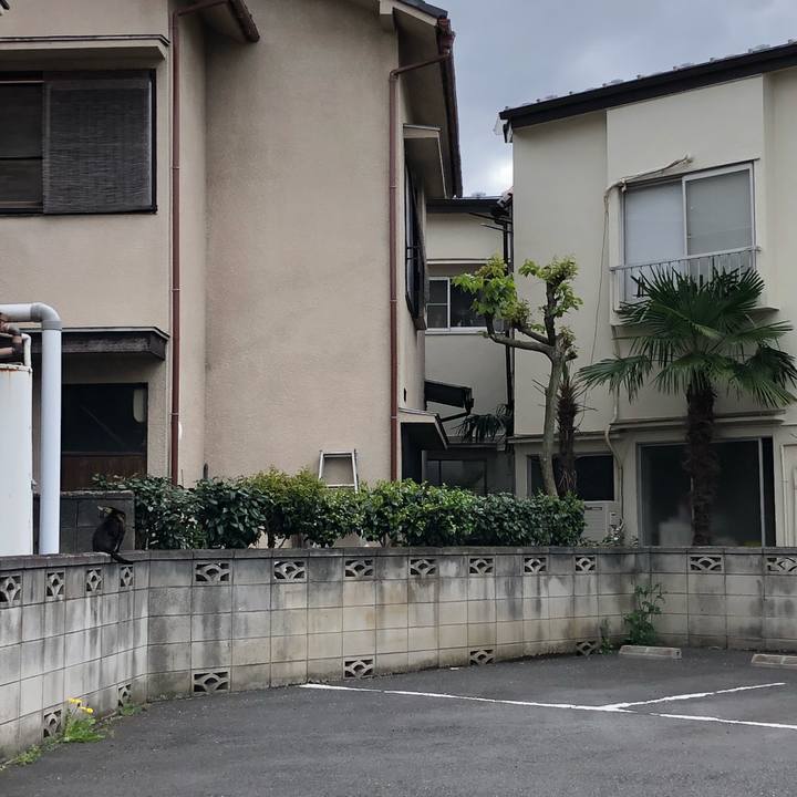 27d62674 e0ea 4ae2 973f a20ad72a8c58 1523867522690